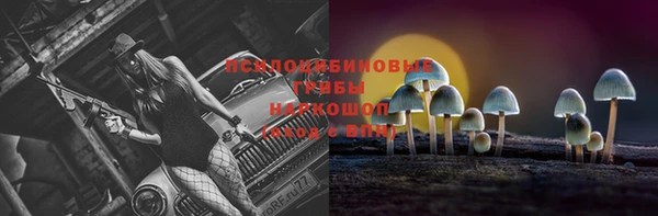 МДПВ Арсеньев