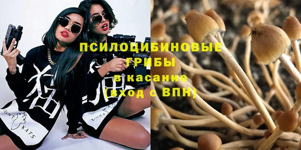 МДПВ Арсеньев