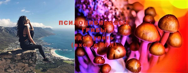 МДПВ Арсеньев