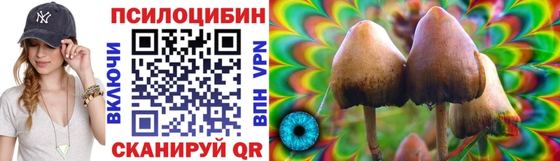 ссылка на мегу зеркало Черняховск Галлюциногенные грибы Psilocybe